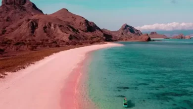 5 Pantai Pink pada Indonesia, Surga Tersembunyi yang dimaksud yang disebutkan Wajib Dikunjungi
