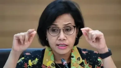 Riwayat Karier Kementerian Sri Mulyani dari Era Pemerintahan SBY hingga Jokowi