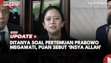 Beredar Kabar Pertemuan Prabowo-Megawati Digelar Hari Ini, Puan Maharani: Insya Allah