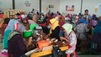 Segini besaran UMP, UMK, UMSP, UMSK Jawa Tengah 2025