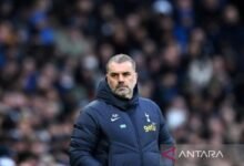 Tottenham Hotspur hadapi krisis bek berada pada jelang lawan Wolves